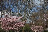 49-St.James Park,4 aprile 2010